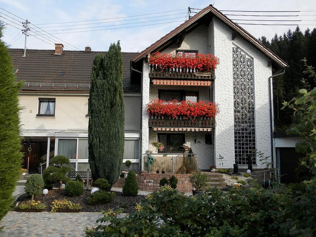 Ferienwohnungen Haus Waltraud Steinwiesen Buitenkant foto